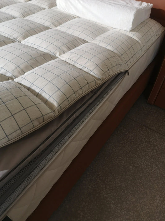 Do Mattress Covers Really Stop Bed Bugs? A Look at Ivytress Zippered Structured Mattress Encasement