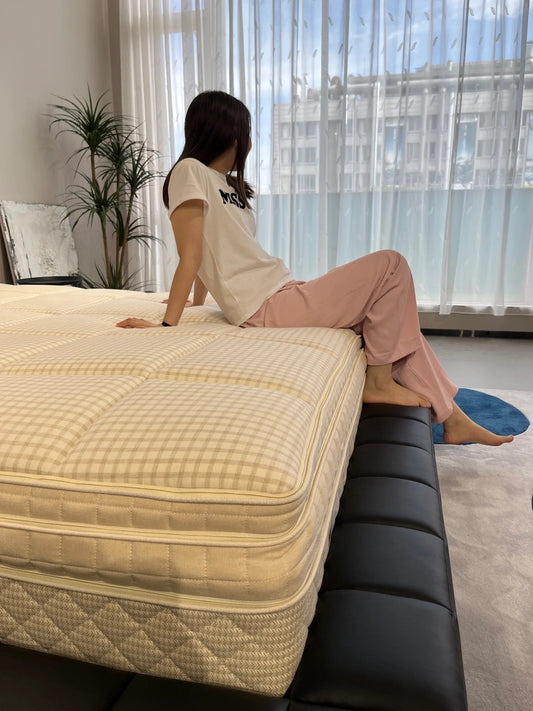 Keep Your Bed Bug-Free with Ivytress Zippered Structured Mattress Encasement