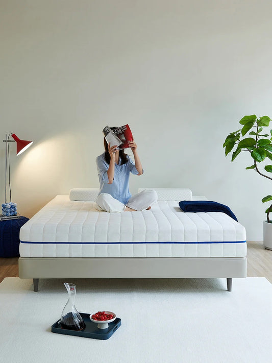 Why Choose Ivytress Zippered Structured Mattress Encasement?