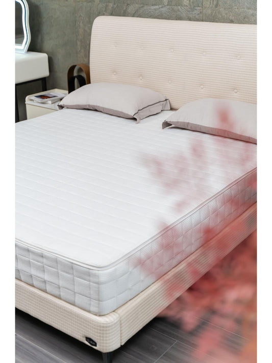 Experience Peaceful Nights with Ivytress: A Comprehensive Guide to Bed Bug Prevention