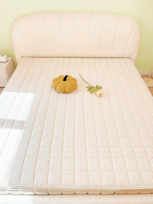 Protect Your Sleep Sanctuary with Ivytress Zippered Mattress Encasement