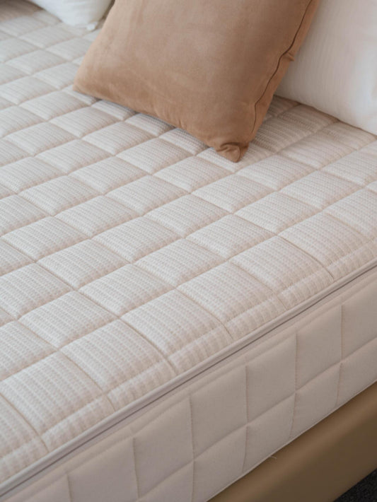 Discover the Power of Ivytress Zippered Structured Mattress Encasement