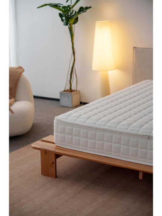 Conquer Bed Bugs with Ivytress: The Ultimate Zippered Structured Mattress Encasement