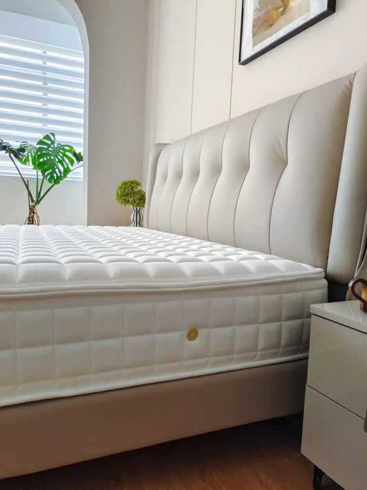 Ivytress Mattress Encasement: Your Ultimate Bed Bug Defense