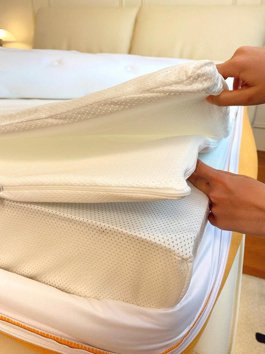 The 2023 Wise Sage's Guide: The Need for Bed Bug-Proof Mattress Encasements by Ivytress